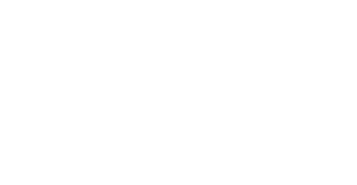 Nightingale Solutions logo
